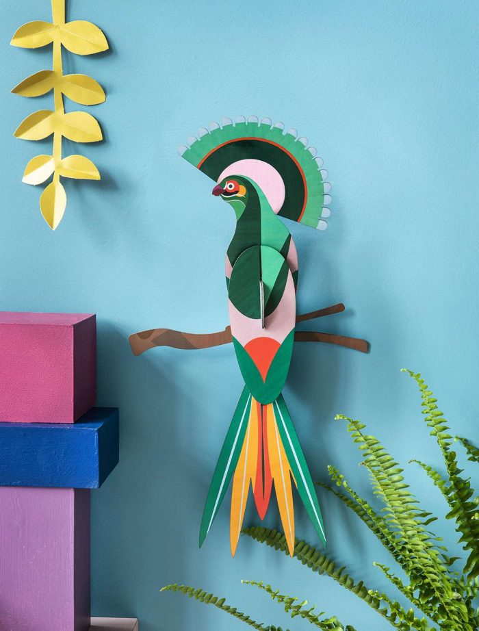 Oiseau 3D Gili