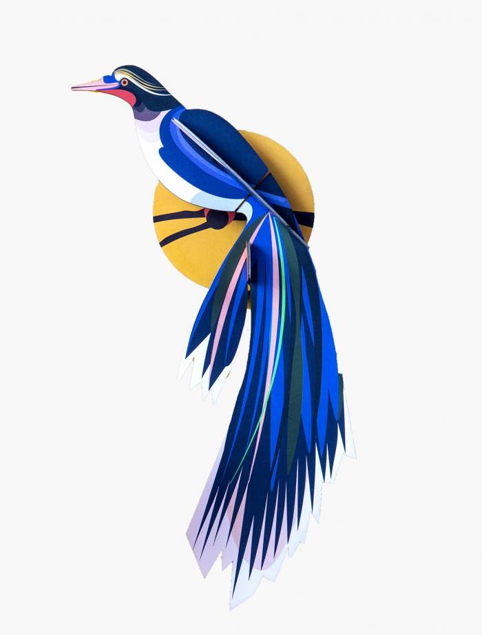 Oiseau Flores 3D