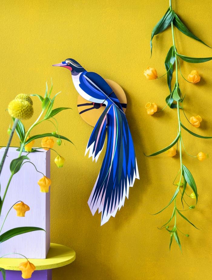 Oiseau Flores 3D