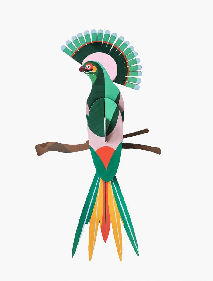 Oiseau Gili 3D